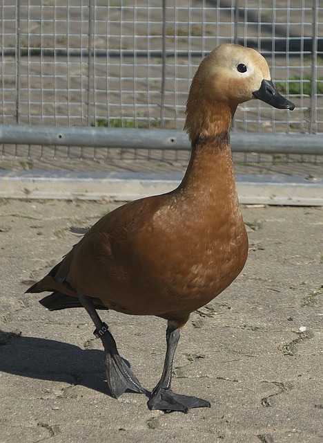益受到重视